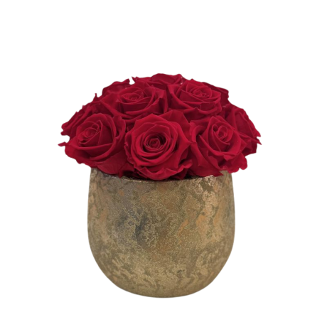 GOLDEN CERAMIC POT WITH 23-27 VIBRANT RED ROSES