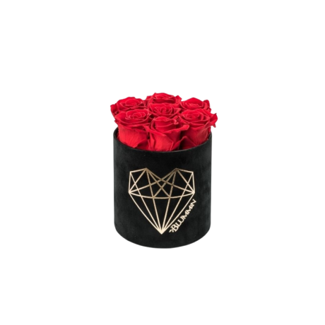 SMALL LOVE - BLACK VELVET BOX WITH VIBRANT RED ROSES