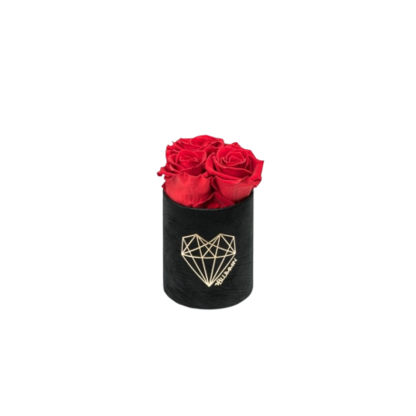 XS LOVE - BLACK VELVET BOX WITH VIBRANT RED ROSES