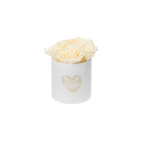 MIDI WHITE VELVET BOX WITH CHAMPAGNE ROSES