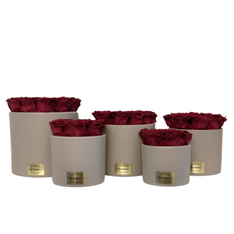 BEIGE CERAMIC POT WITH DARK RED ROSES