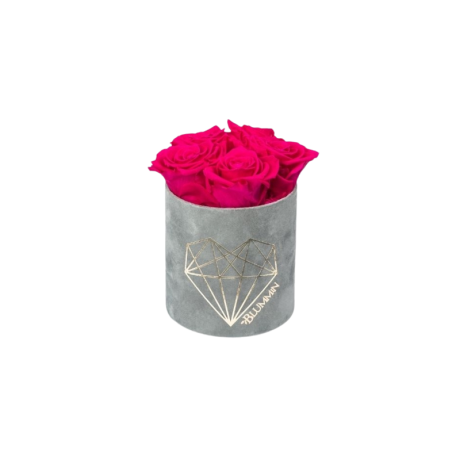 MIDI LOVE - LIGHT GREY VELVET BOX WITH HOT PINK ROSES