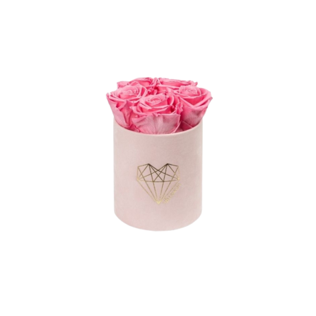 MIDI LOVE - LIGHT PINK VELVET BOX WITH BABY PINK ROSES