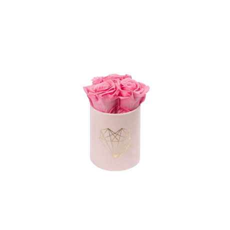 XS LOVE - LIGHT PINK VELVET BOX WITH BABY PINK ROSES