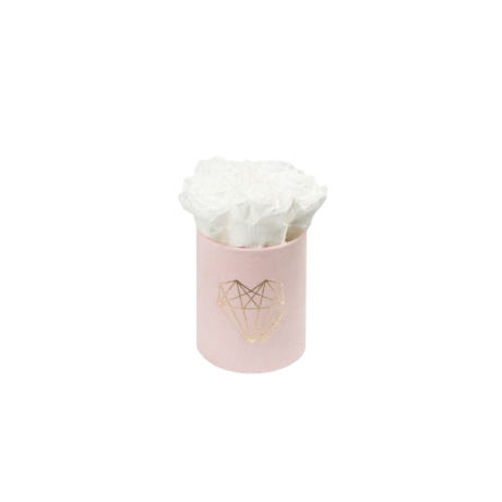 XS LOVE - LIGHT PINK VELVET BOX WITH WHITE ROSES