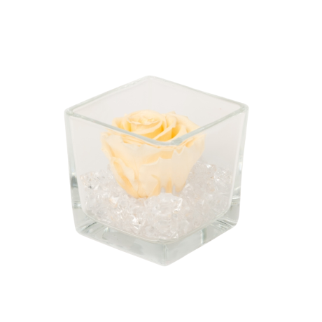 GLASS VASE WITH CHAMPAGNE ROSE AND CRYSTALS (8x8 cm)