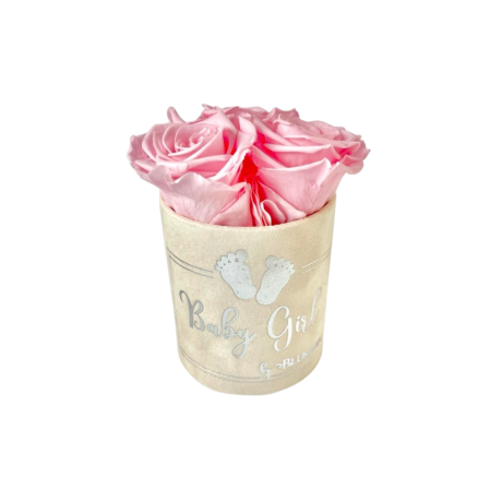 BABY GIRL - NUDE VELVET BOX WITH 3 WHITE ROSES 