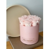 Medium heleroosa karp Ice pink roosid.jpeg