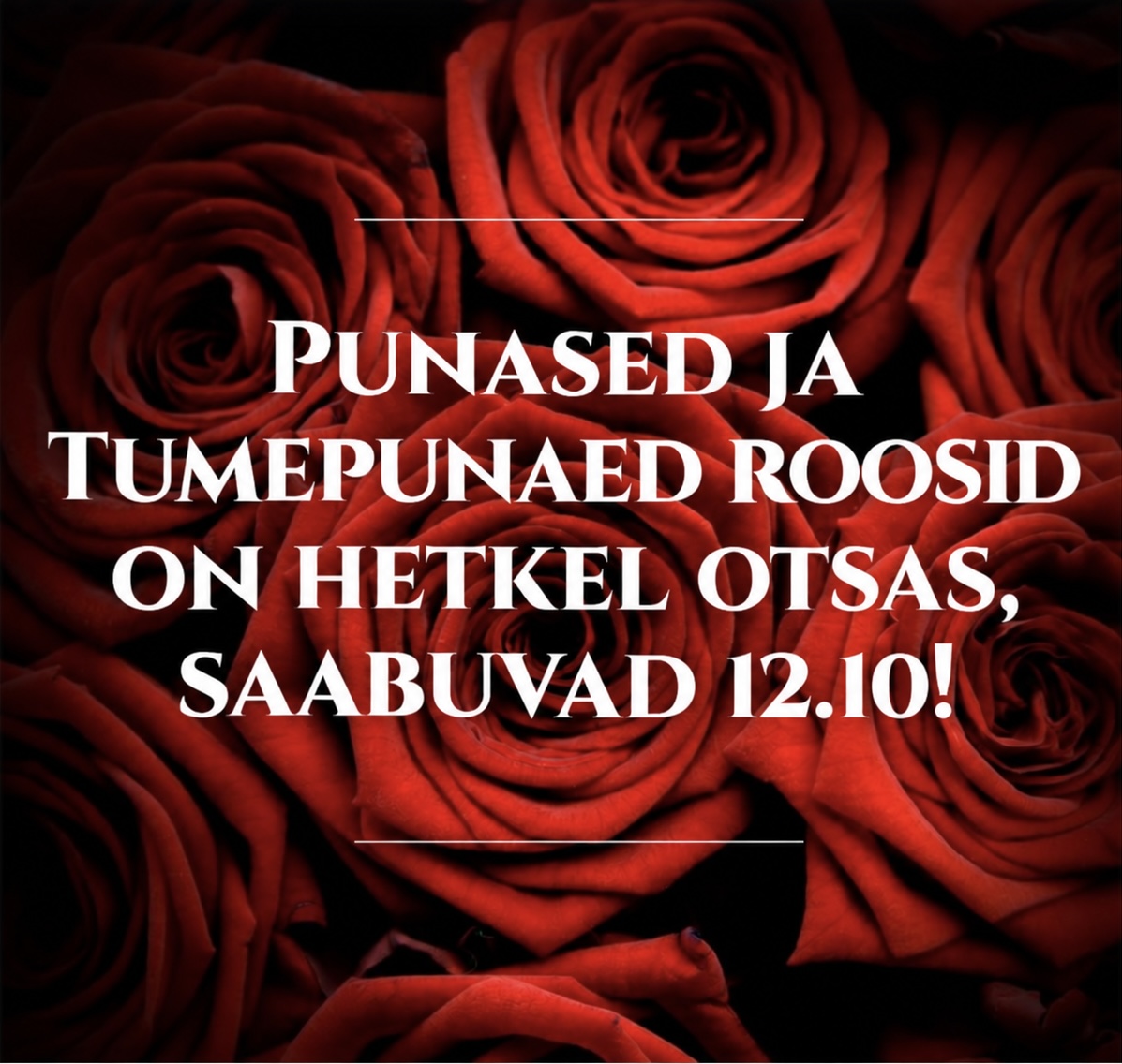 3A9EBE98-AAD7-44D4-856F-5F79E3A330EA.jpeg (315 KB)